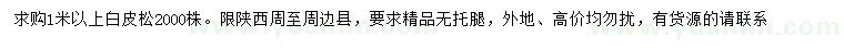 求購1米以上白皮松
