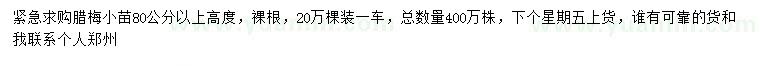 求購(gòu)高80公分以上臘梅小苗