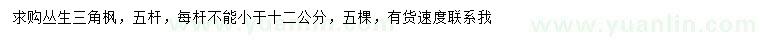 求購5桿叢生三角楓