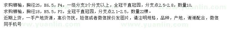 求購胸徑18、25榔榆