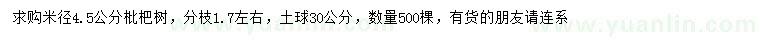 求購米徑4.5公分枇杷樹