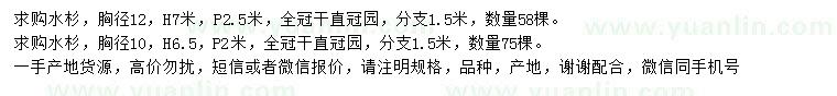 求購胸徑10、12公分水杉