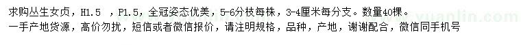 求購高1.5米叢生女貞