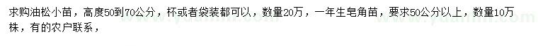 求購高50-70公分油松小苗、50公分以上皂角