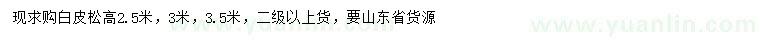 求購2.5、3、3.5米白皮松