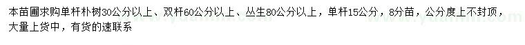求購(gòu)30、60、80公分以上樸樹