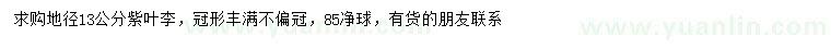 求購(gòu)地徑13公分紫葉李