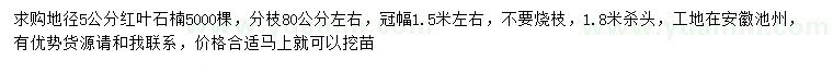 求購地徑5公分紅葉石楠
