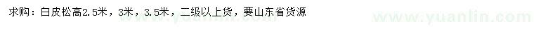 求購高2.5、3、3.5米白皮松