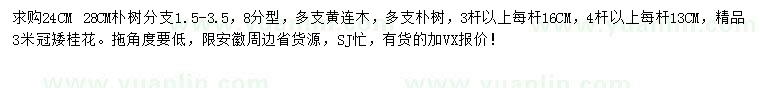 求購樸樹、黃連木、桂花