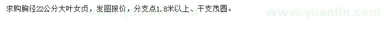 求購胸徑22公分大葉女貞