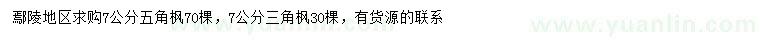 求購(gòu)7公分五角楓、三角楓
