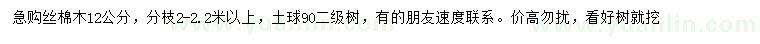 求購12公分絲棉木
