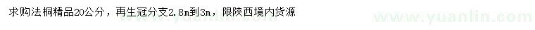 求購20公分法桐