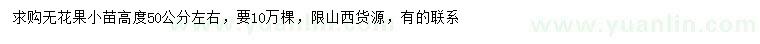 求購高50公分無花果小苗