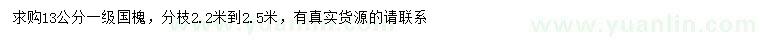 求購13公分國槐