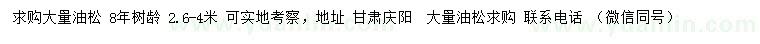 求購2.6-4米油松