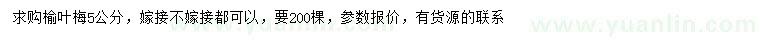 求購5公分榆葉梅