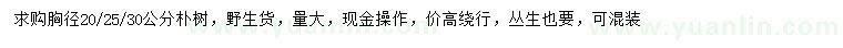 求購胸徑20、25、30公分樸樹