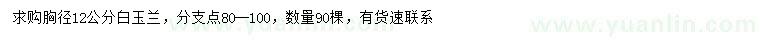 求購胸徑12公分白玉蘭