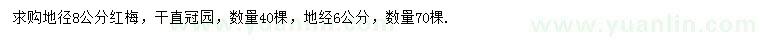 求購地徑6、8公分紅梅