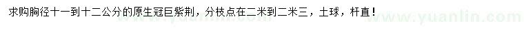 求購胸徑11-12公分巨紫荊