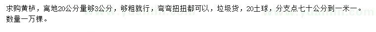 求購20量3公分黃櫨