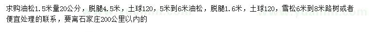 求購1.5米量20公分油松、6-8米雪松