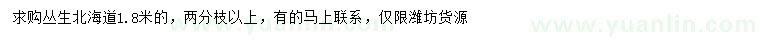 求購1.8米叢生北海道黃楊