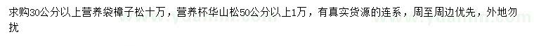 求購30公分以上樟子松、50公分以上華山松