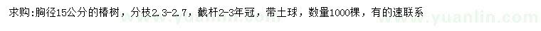 求購胸徑15公分椿樹