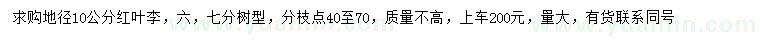 求購地徑10公分紅葉李