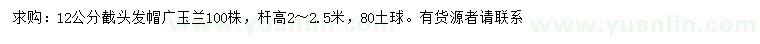 求購12公分廣玉蘭