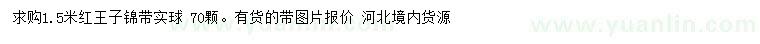 求購(gòu)1.5米紅王子錦帶球