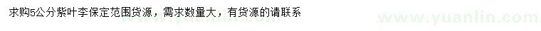 求購5公分紫葉李