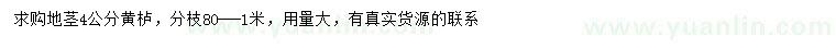 求購地徑4公分黃櫨