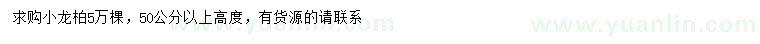 求購(gòu)高50公分以上小龍柏