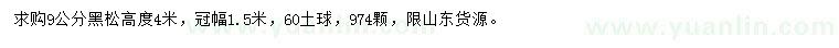 求購9公分黑松