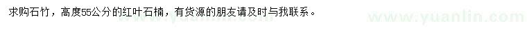 求購(gòu)高55公分石竹、紅葉石楠