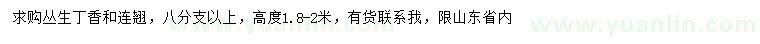 求購(gòu)高1.8-2米叢生丁香、連翹