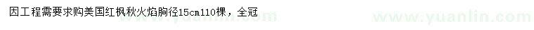 求購15公分美國紅楓秋火焰
