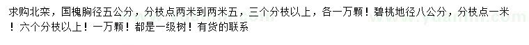 求購北欒、國槐、碧桃