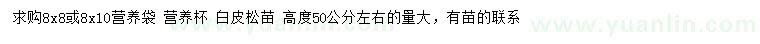 求購(gòu)高50公分左右白皮松