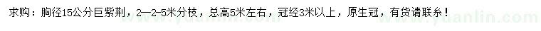 求購胸徑15公分巨紫荊