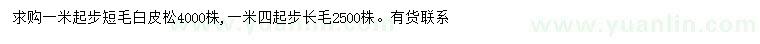 求購1、1.4米以上白皮松