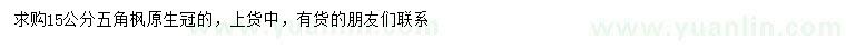 求購15公分五角楓