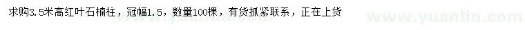 求購(gòu)高3.5米紅葉石楠柱