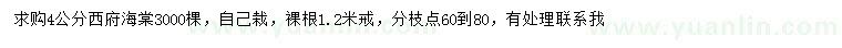 求購(gòu)4公分西府海棠
