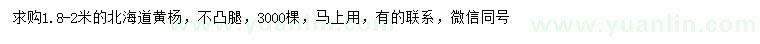 求購1.8-2米北海道黃楊
