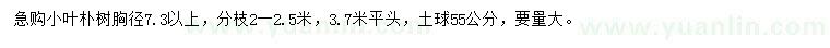 求購(gòu)胸徑7.3公分以上小葉樸樹